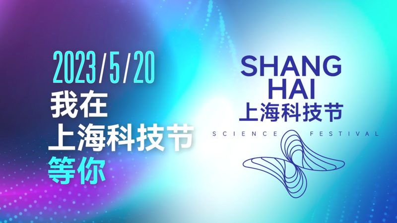 小型SaaS平台的技术选型与架构设计
